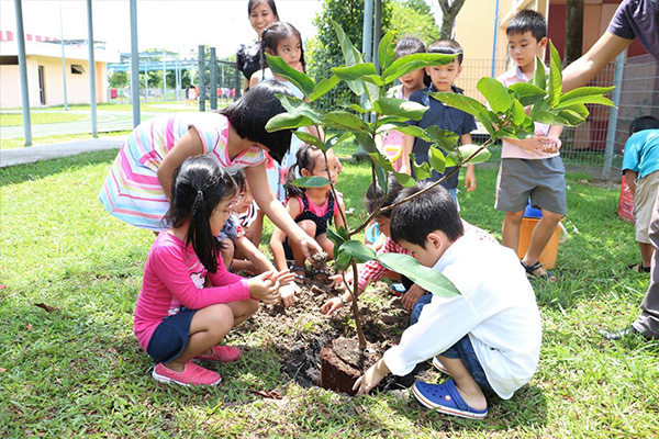 Why are schools in a greener environment better?